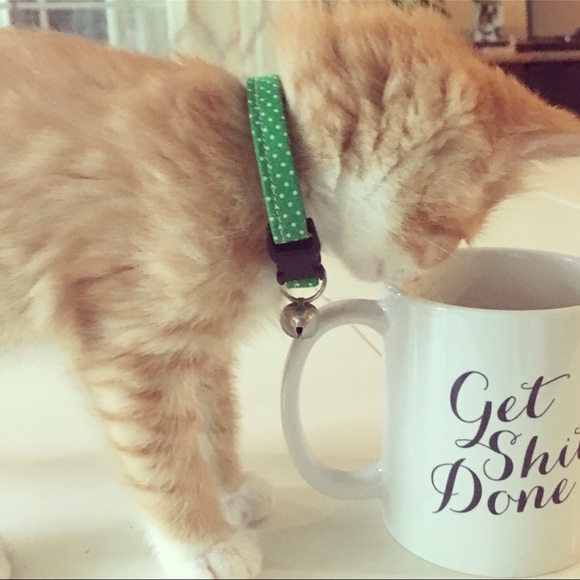 Meet your Posher, Kelly - Picture 7 of 8